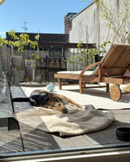Hund liegt entspannt auf der BUDDY Hundedecke Teddy "LeFluff" auf einer sonnigen Terrasse.Hundedecke Teddy LeFluff als gemütlicher Ruheplatz im Außenbereich