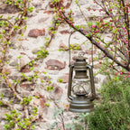 Feuerhand Baby Special 276 Sturmlaterne hängt an einem Baum vor einer Steinmauer im Freien.