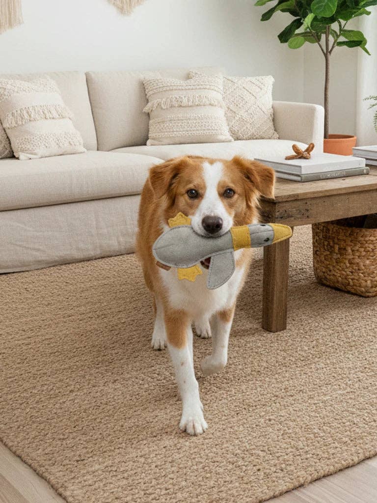 Hund apportiert Hundespielzeug aus Leder "Große Ente"