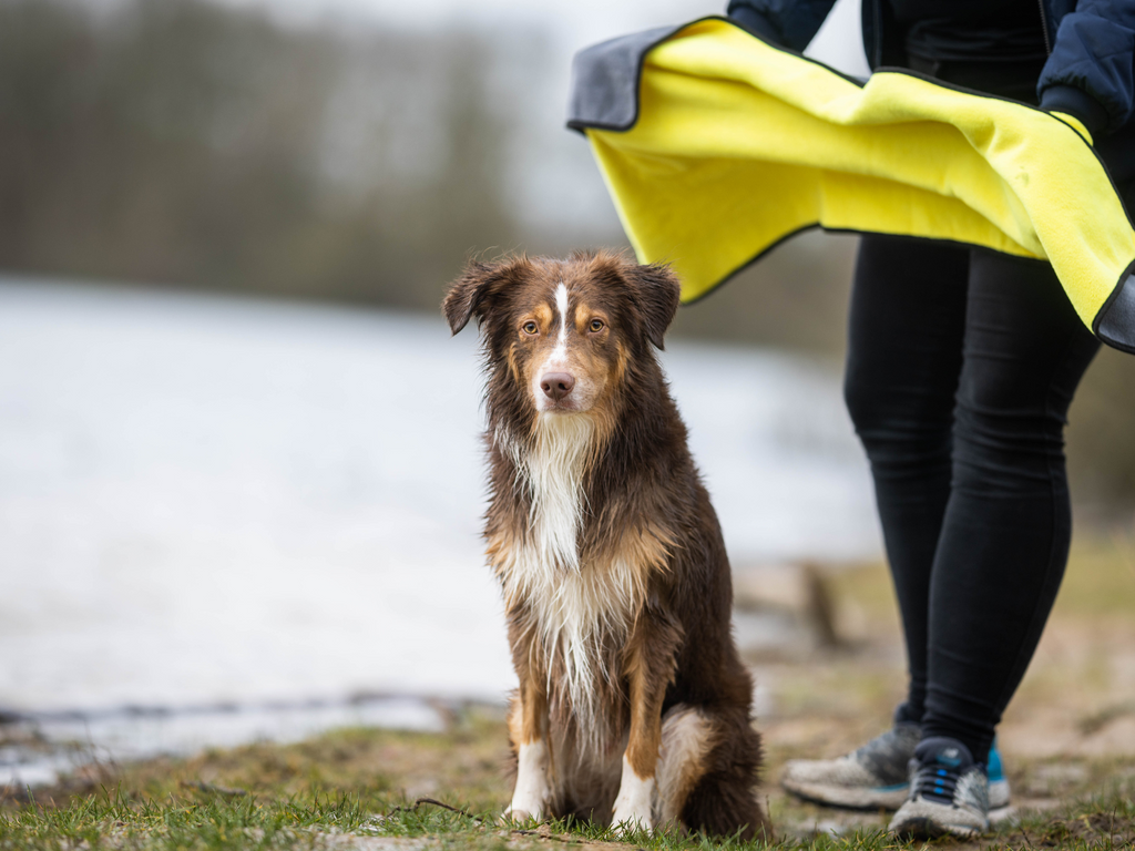 Handtuch BUDDY für Hunde