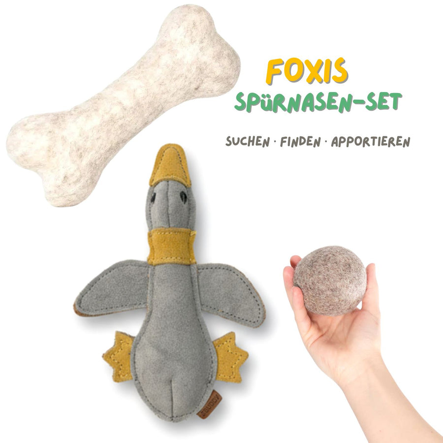 Foxis Spürnasen-Set – Such- & Apportierspielzeug für Hunde