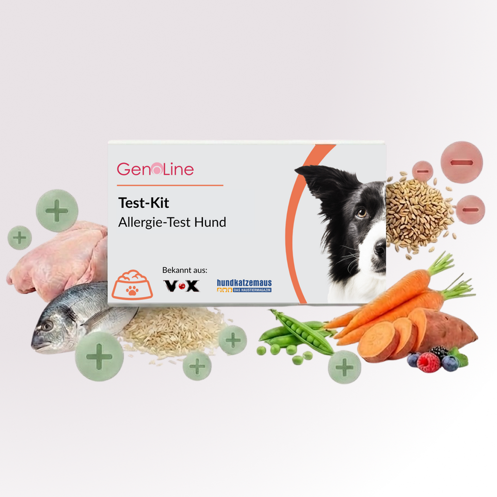 Allergietest für Hunde