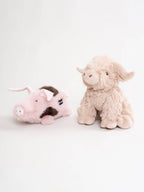 Kasper das Schwein