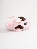 Kasper das Schwein