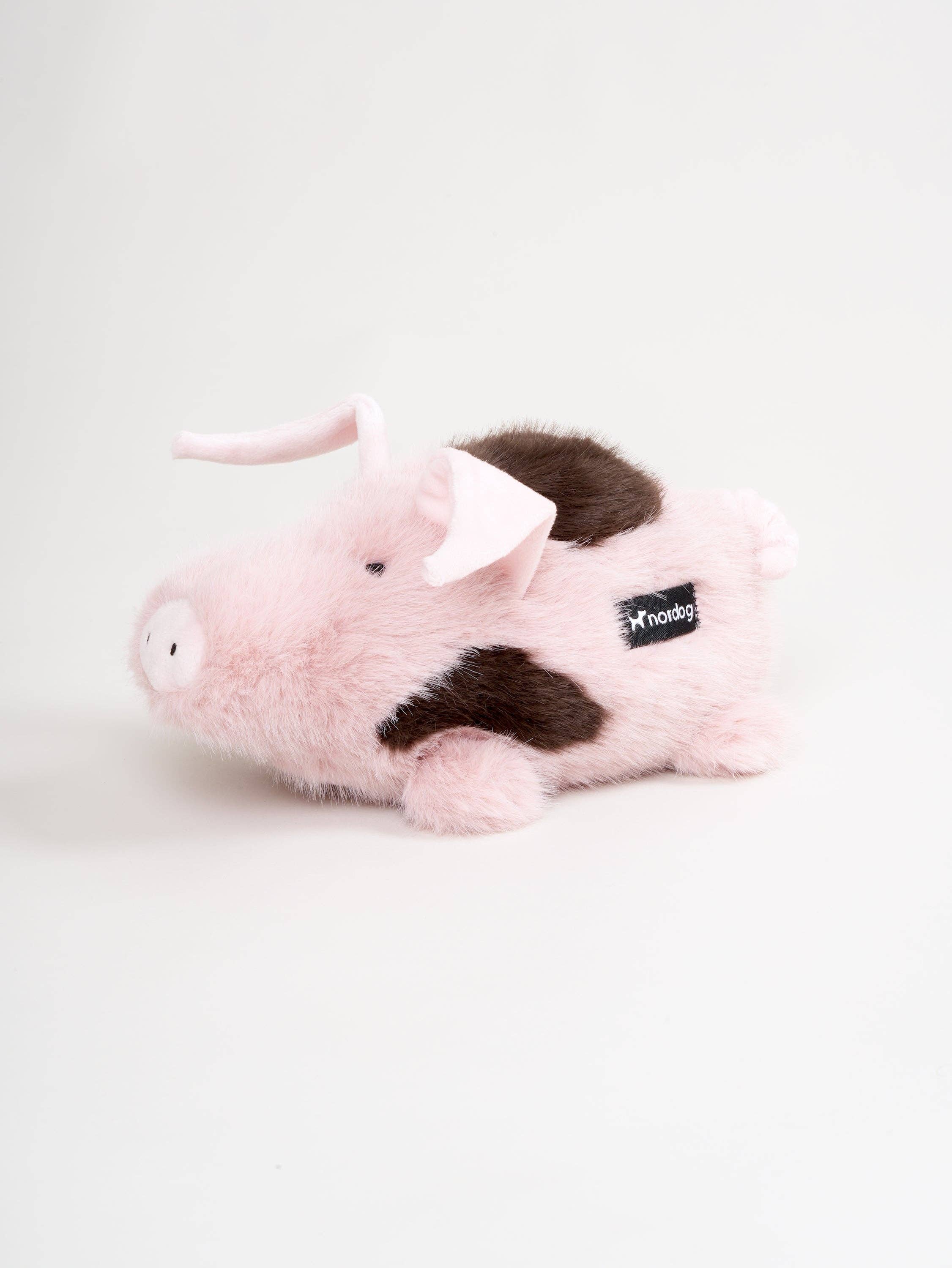 Kasper das Schwein