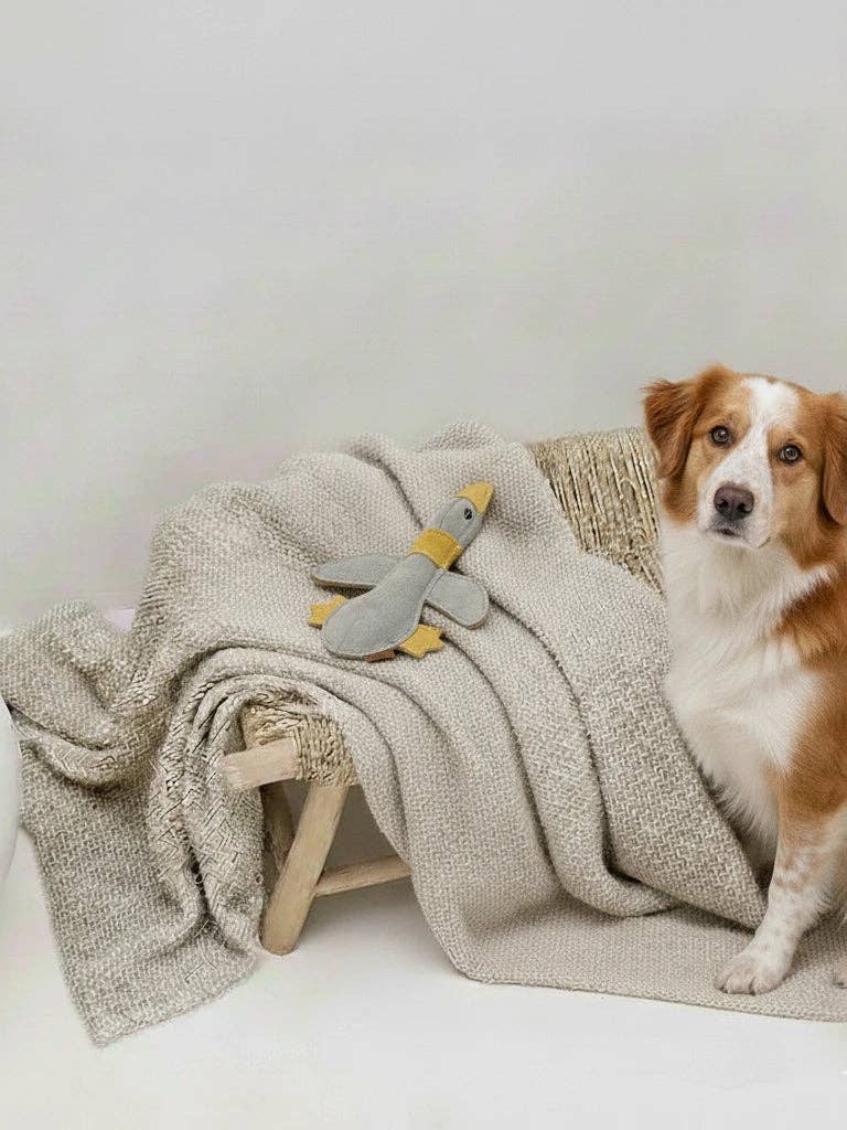 Handgefertigtes Hundespielzeug aus Leder mit natürlicher Kokosfaserfüllung
