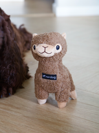 Benji Mini-Alpaka